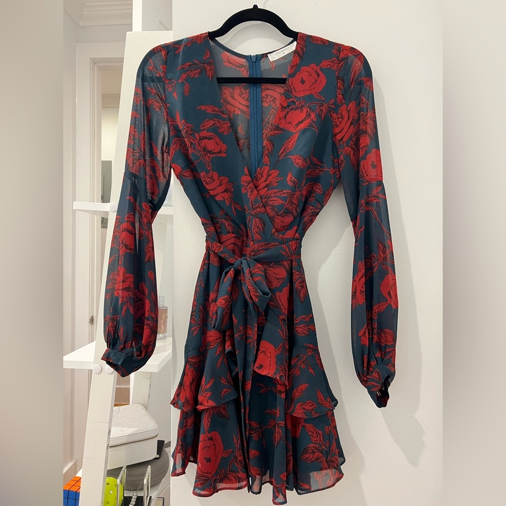 Hello Molly Red and Blue Floral Dress